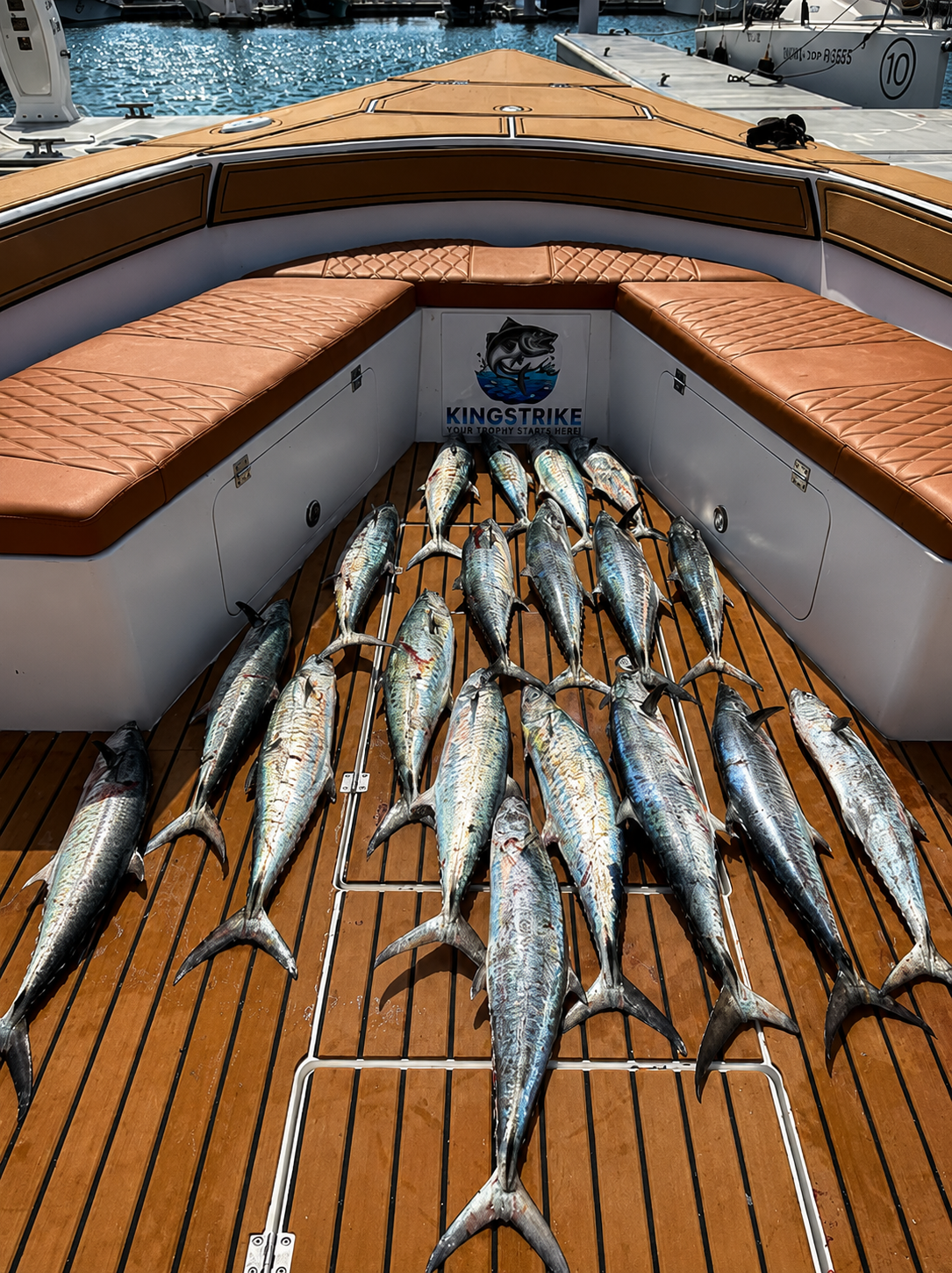Kingfish catch laid out across the KingStrike teak deck at Port Rashid