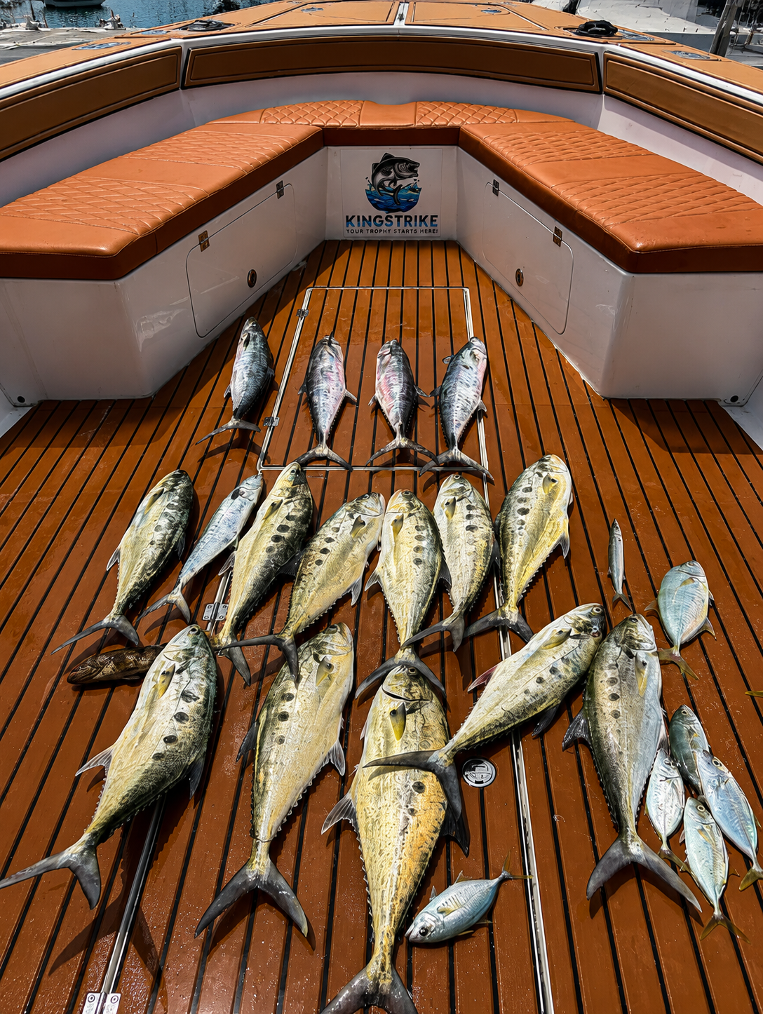 Mixed catch of queenfish and trevally spread over the KingStrike teak deck