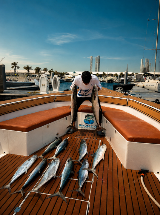 Crew member with the day's catch of kingfish on deck at Port Rashid marina
