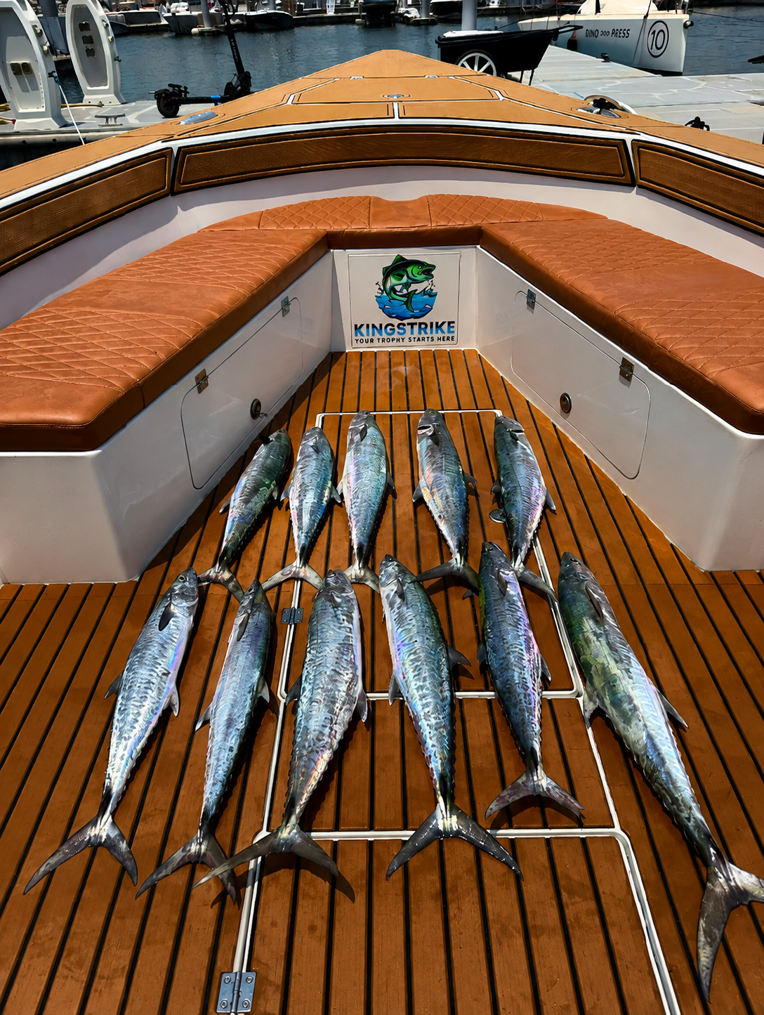 A full spread of kingfish laid out on the KingStrike teak bow deck